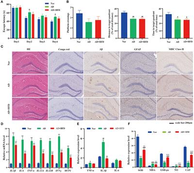 High-Fat Diet Alleviates Neuroinflammation and Metabolic Disorders of APP/PS1 Mice and the Intervention With Chinese Medicine
